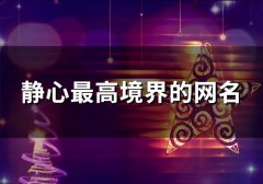 静心最高境界的网名(精选82个)