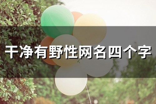 干净有野性网名四个字(精选106个)