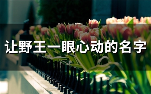 让野王一眼心动的名字(139个) 让野王一眼心动的名字(139个)