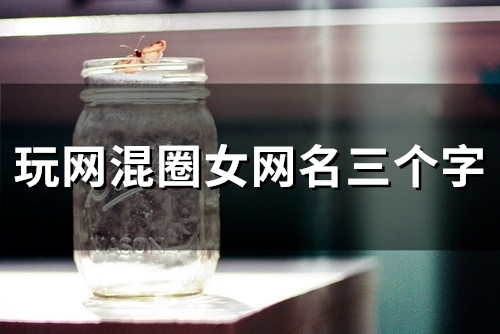 玩网混圈女网名三个字(145个)
