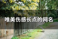 唯美伤感长点的网名(153个)