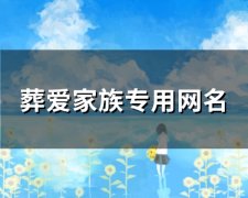 葬爱家族专用网名(89个)