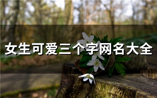 女生可爱三个字网名大全(精选158个)