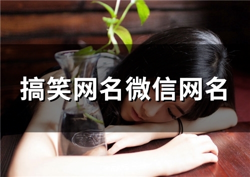 搞笑网名微信网名(80个)