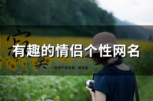 有趣的情侣个性网名(精选112个)