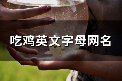 吃鸡英文字母网名(128个)