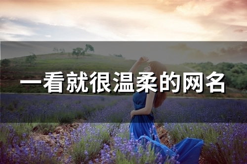 一看就很温柔的网名(精选91个) 一看就很温柔的网名(精选91个)