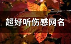 超好听伤感网名(82个)