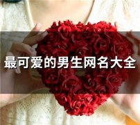 最可爱的男生网名大全(126个)