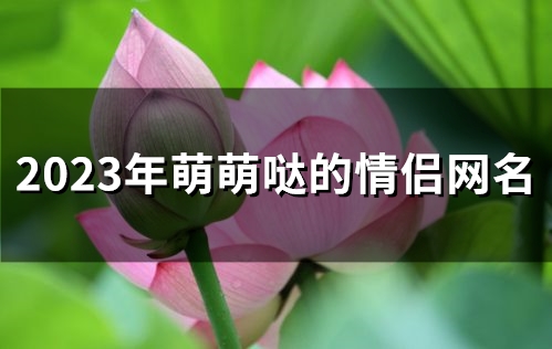 2023年萌萌哒的情侣网名(精选151个)