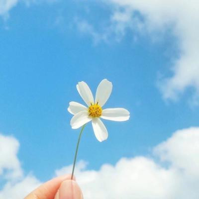 找一个风景头像(30张)