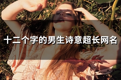 十二个字的男生诗意超长网名(87个) 十二个字的男生诗意超长网名(87个)