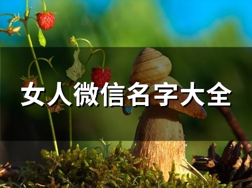 女人微信名字大全(101个) 女人微信名字大全(101个)