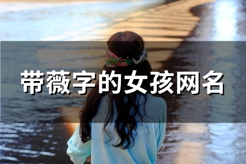带薇字的女孩网名(65个)