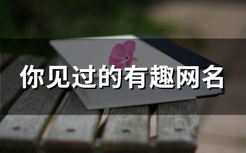 你见过的有趣网名(精选156个)