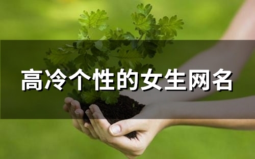 高冷个性的女生网名(精选83个)