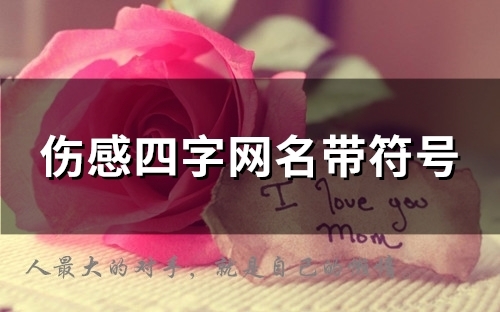 伤感四字网名带符号(117个)