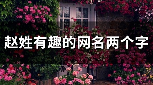 赵姓有趣的网名两个字(101个)