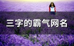 三字的霸气网名(133个)