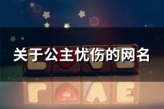 关于公主忧伤的网名(103个)