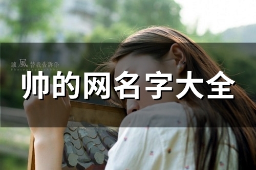 帅的网名字大全(精选134个) 帅的网名字大全(精选134个)