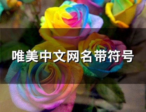 唯美中文网名带符号(149个)