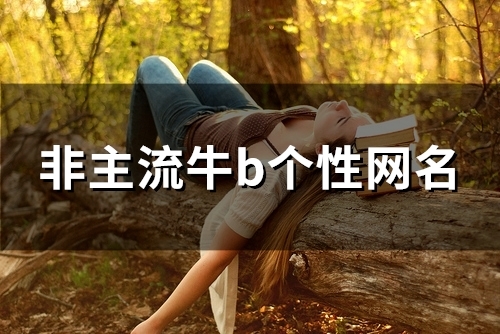 非主流牛b个性网名(132个)