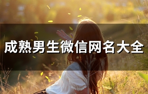 成熟男生微信网名大全(124个)
