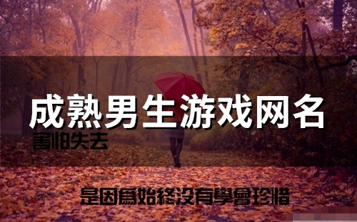 成熟男生游戏网名(精选137个)