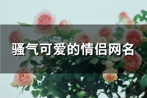骚气可爱的情侣网名(精选139个) 骚气可爱的情侣网名(精选139个)