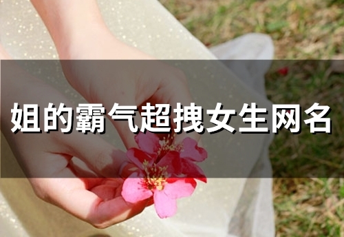 姐的霸气超拽女生网名(149个)