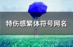 特伤感繁体符号网名(114个)