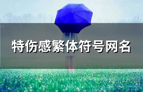 特伤感繁体符号网名(114个)