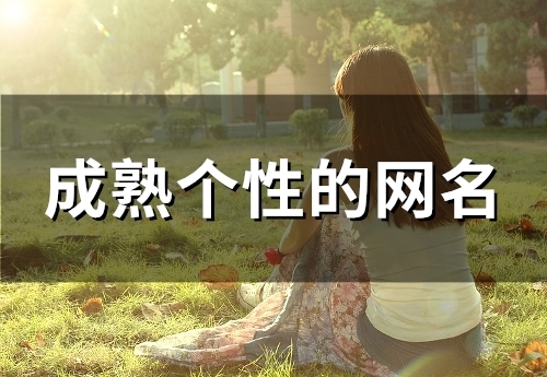 成熟个性的网名(97个)