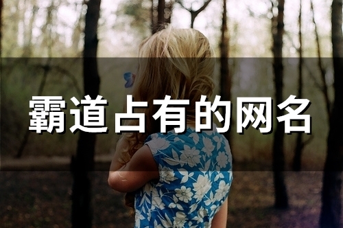 霸道占有的网名(112个) 霸道占有的网名(112个)