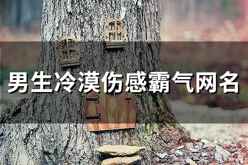 男生冷漠伤感霸气网名(精选150个) 男生冷漠伤感霸气网名(精选150个)
