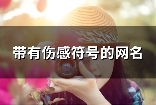 带有伤感符号的网名(精选98个) 带有伤感符号的网名(精选98个)