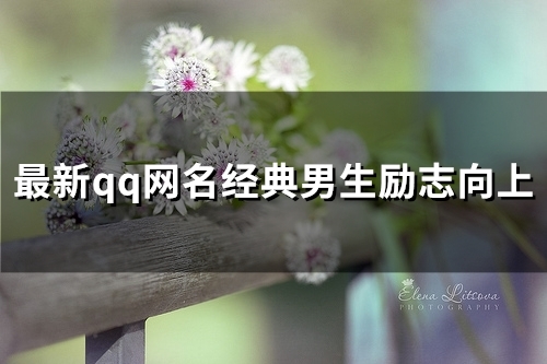 最新qq网名经典男生励志向上(共77个) 最新qq网名经典男生励志向上(共77个)