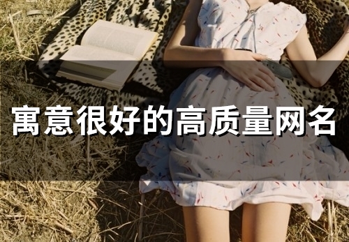 寓意很好的高质量网名(115个)