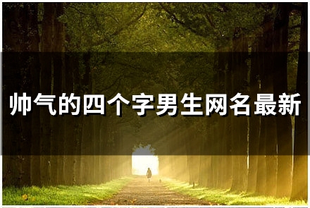 帅气的四个字男生网名最新(共195个)