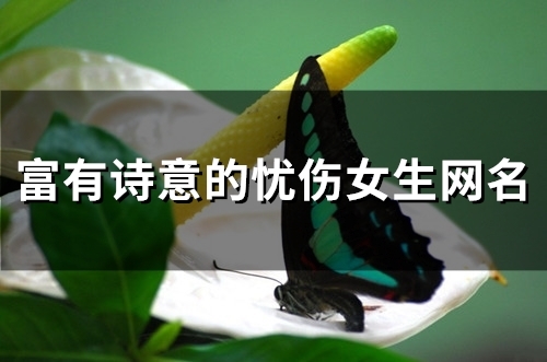 富有诗意的忧伤女生网名(187个) 富有诗意的忧伤女生网名(187个)