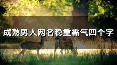 成熟男人网名稳重霸气四个字(精选196个)