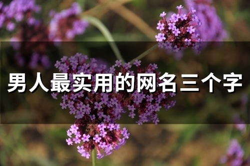 男人最实用的网名三个字(162个) 男人最实用的网名三个字(162个)