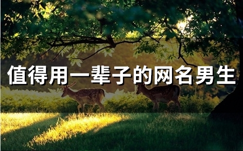 值得用一辈子的网名男生(精选183个)