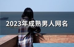 2023年成熟男人网名(共161个)