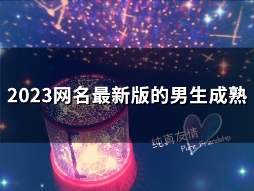 2023网名最新版的男生成熟(167个)