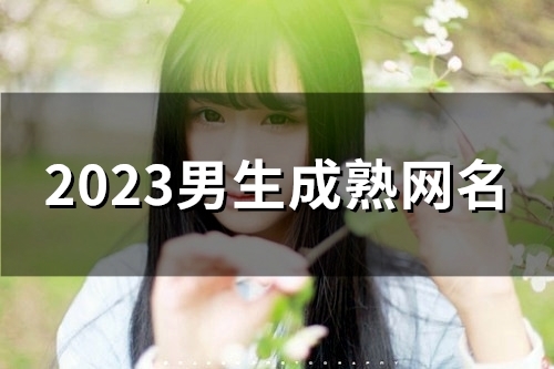 2023男生成熟网名(189个) 2023男生成熟网名(189个)