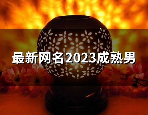最新网名2023成熟男(精选198个) 最新网名2023成熟男(精选198个)