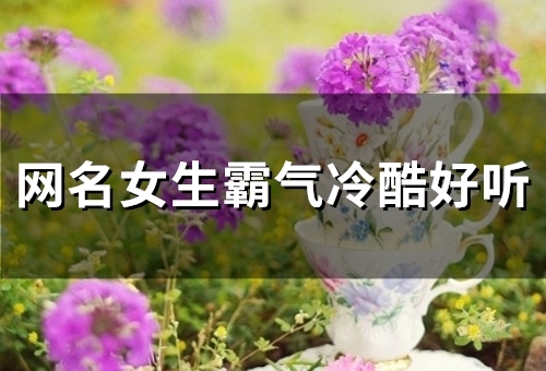 网名女生霸气冷酷好听(共161个) 网名女生霸气冷酷好听(共161个)