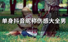 单身抖音昵称伤感大全男(优选176个)